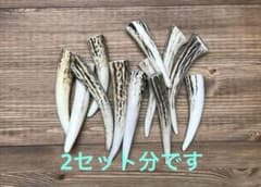 アクセサリー用 鹿の角 12本×2セットのサムネイル