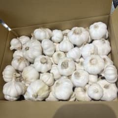 にんにく小　箱込2.0ｋｇのサムネイル
