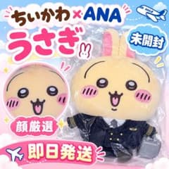 【お顔厳選】 ちいかわ ANA うさぎ ぬいぐるみ コラボ パイロットのサムネイル