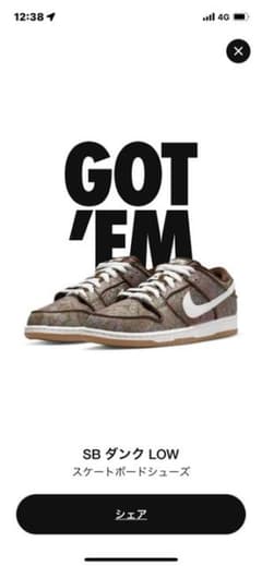 NIKE SB ダンク LOW ペイズリーのサムネイル