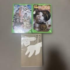 小説 まとめ売りのサムネイル