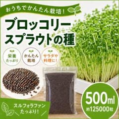 ブロッコリースプラウト専用種子　500ml ネコポス配送　高発芽率種子のサムネイル