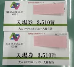 ネスタリゾート神戸 大人入場券 2枚 - メルカリ