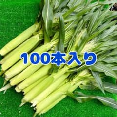 ym35 山梨県産 ヤングコーン ベビーコーン 新鮮 100本入り