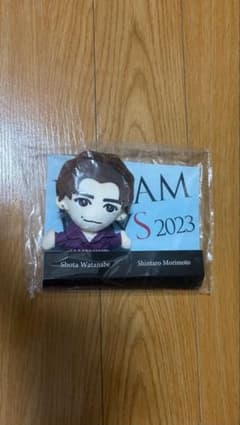 DREAM BOYS 2023 渡辺翔太 ぬいぐるみマスコットのサムネイル