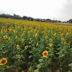 ちゃんぼーさん予約☆はんこ2つのサムネイル