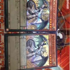 竜剣士ラスターP２枚セット（片方シク）のサムネイル