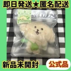 NCT WISH WISH doll md ぬいぐるみ ジェヒ デントリバー 3 - メルカリ