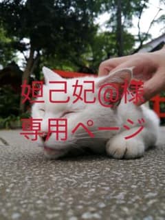 ハーブティー　PUKKA　リバイタライズのサムネイル