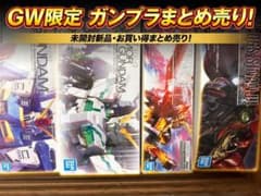 GW期間限定販売】MG ガンプラ まとめ売り バンダイ【分売・値下げ不可
