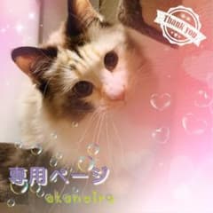 かんな様 命名札 １５枚のサムネイル