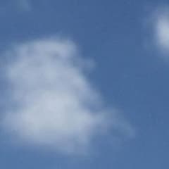 フラワー様専用のサムネイル