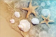 ダイヤモンドビーズアート　浜辺　貝殻のサムネイル