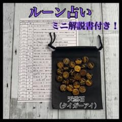 天然石】ルーンストーン ミニ解説書 専用袋 ルーン占い #タイガーアイ