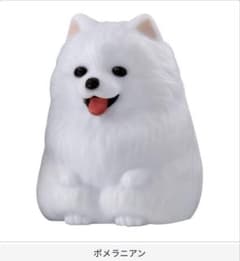 大きな光るまてぼうけ犬 BIGサイズ　ポメラニアン★新品★のサムネイル