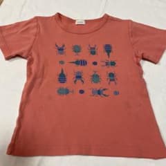コンビミニ　昆虫柄　size100 ピンク半袖のサムネイル