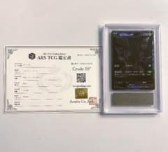 【ars10+】世界6枚 ゼクロム BWR 鑑定書付き ゼクロム ex BWR ARS 10 鑑定済 ポケモンカード ブラックボルト PSA10