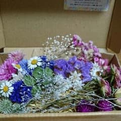 NO 5 Mai様専用のサムネイル