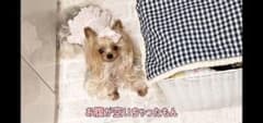 TOWA様、ご確認用です^^*のサムネイル