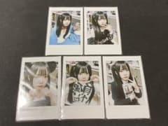ゼパちゃん 生 チェキ 写真 5枚セット 検 猫 ドラえもん メイド ゼパ
