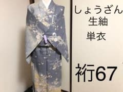 着物　単衣　しょうざん生紬　美品　裄67のサムネイル