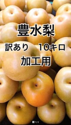 豊水梨　訳あり　家庭用　加工用　10キロのサムネイル