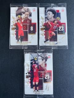 バレーボール日本代表 カード 3枚セットのサムネイル