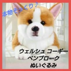 超特価❗ウェルシュ コーギー ペンブローク ぬいぐるみ 犬 リアル 本物そっくり