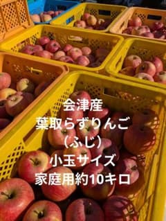 会津産　葉取らずりんご小玉サイズ　家庭用約10キロのサムネイル
