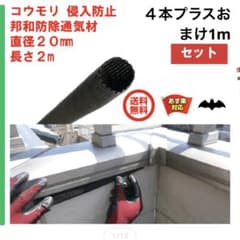 コウモリ　侵入防止のサムネイル
