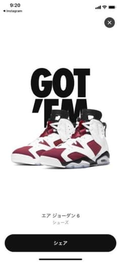 NIKE JORDAN6 carmine レトロのサムネイル