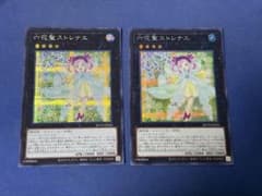 【即日発送】遊戯王 六花聖ストレナエ シークレット 2枚セットのサムネイル