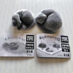 まぶしいにゃん　あんもにゃいと２　黒猫