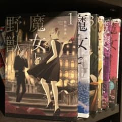 ⭐️魔女と野獣〜1-6巻セット〜⭐️のサムネイル