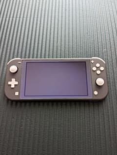 任天堂 Switch Light スイッチライト ケース カバー付き 美品のサムネイル