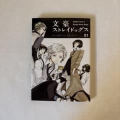 文豪ストレイドッグス 1巻 漫画のサムネイル