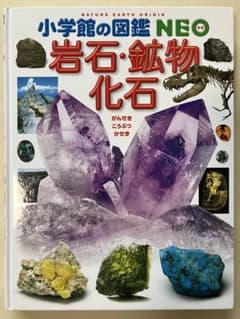 小学館の図鑑 NEO 岩石・鉱物・化石 (小学館の図鑑・NEO 18)のサムネイル