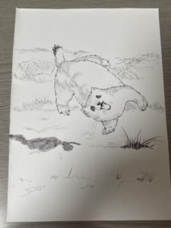 オコジョのイラスト 手書きペン画 アートのサムネイル
