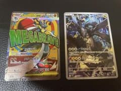 メガルカリオ Nのゼクロムのサムネイル