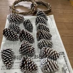 松ぼっくり リース土台 セット クリスマスのサムネイル