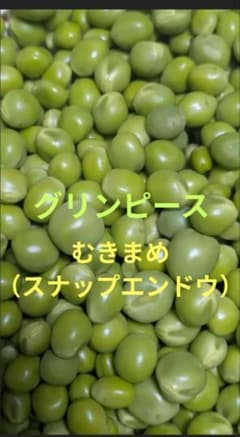 グリンピース　むき豆（スナップ）300グラムのサムネイル