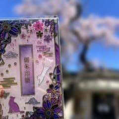 榴岡天満宮 御朱印帳 「桜遊猫」（御朱印入り） - メルカリ