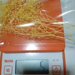 なおちやん、様専用ですのサムネイル