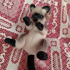リアルアニマル 猫つまんでぬいぐるみ - メルカリ