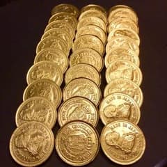 【金貨】ミルクチョコレート30枚のサムネイル