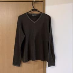 ZARA メンズ Vネックニット ブラウン Lサイズのサムネイル