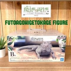 [미개봉] 이치 반 쿠지 파충류 & 양서류 vol.2 B상 풋아고히게 도마뱀