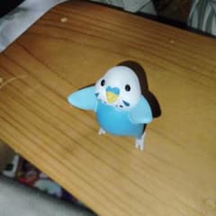セキセイインコ フィギュア ガチャのサムネイル