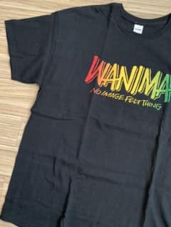 バンT WANIMAのサムネイル