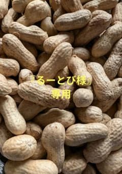 『るーとび様専用』千葉県産　農薬不使用　おおまさり1㌔①のサムネイル